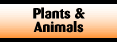 Plants and Animals